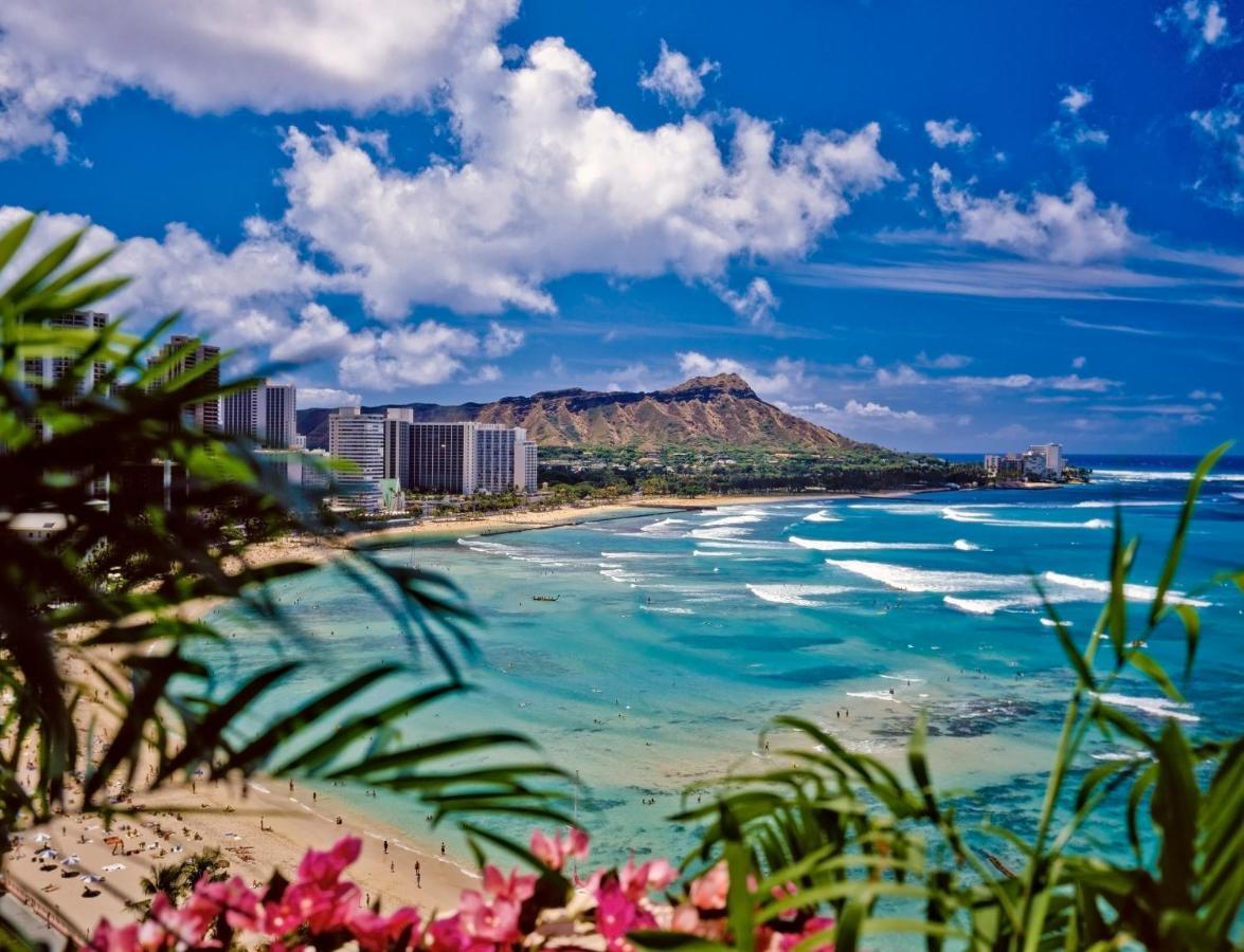Cozy Waikiki Getaway, Stroll To Beach With Free Parking Гонолулу Экстерьер фото