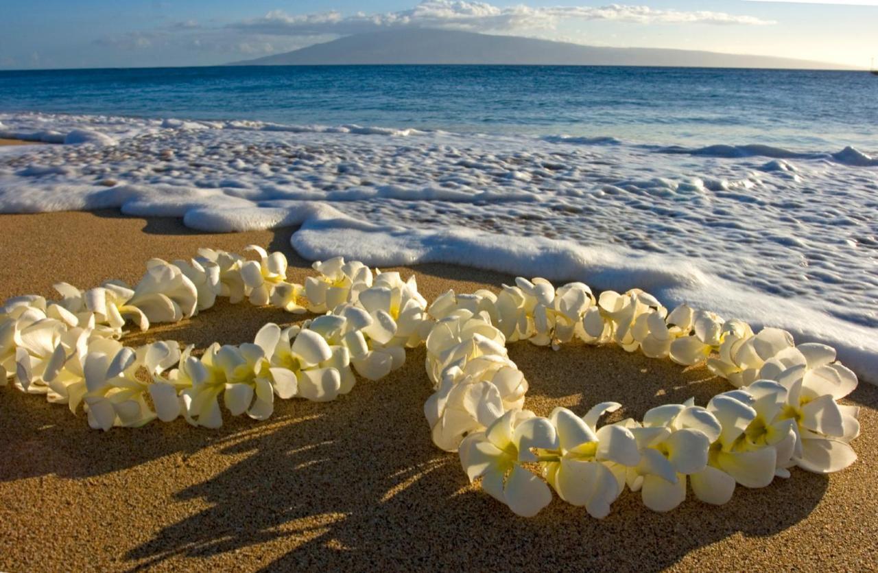 Cozy Waikiki Getaway, Stroll To Beach With Free Parking Гонолулу Экстерьер фото